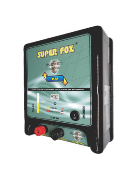 Impulsor de 12 - 110V con Cargador de Batería