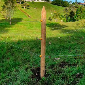 Instalación del Aislador Cerca Viva