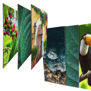 Impresión con Lámina de Papel Panal